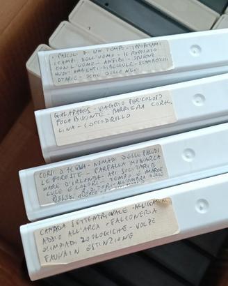 Vhs  registrate di film e puntate di Quark