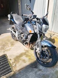 suzuki gsr 600