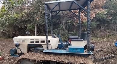 Cingolato lamborghini 553 53cv