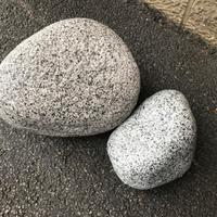 Accessori da vetrina (Sassi granito)