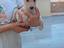 Immagine 1