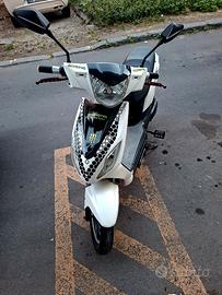 Altro Altro modello - 2022