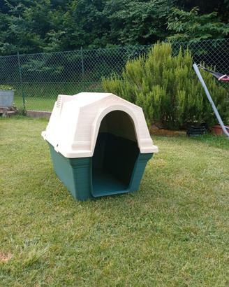 Cuccia a casetta per cani