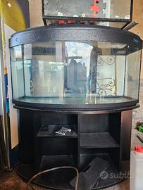 acquario 300 litri