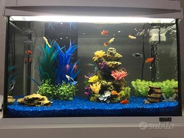 Acquario con mobiletto e accessori 