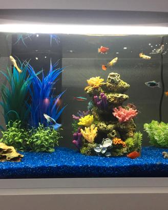 Acquario con mobiletto e accessori 