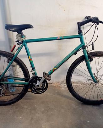MTB BOTTECCHIA