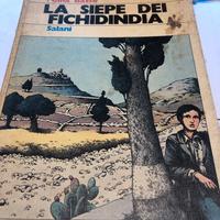 La siepe dei fichidindia