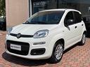 fiat-panda-1-2-easy