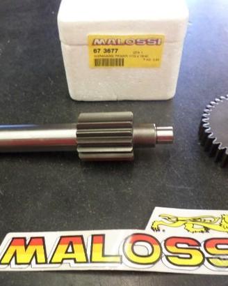Rapporti allungati malossi mbk booster