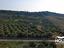 Immagine 20