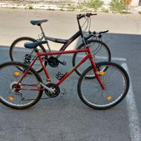 Bici mountain bike per adulti