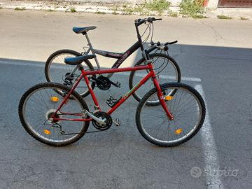 Bici mountain bike per adulti