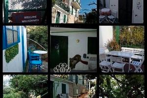 Agrivilletta si cani con voi 24 agosto 31 agosto