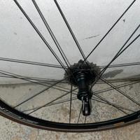 Ruote campagnolo scirocco 35