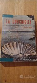 Libro antico La conchiglia Antologia Italiana