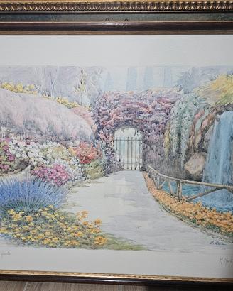 Giardino Fiorito M.Marten 