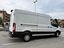 Immagine 9