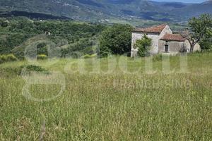Terreno Agricolo Laino Borgo [238VRG]