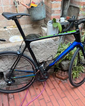 Giant TCR Advanced 1 (SE) 2019 taglia XL