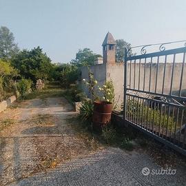 Casetta di campagna con terreno