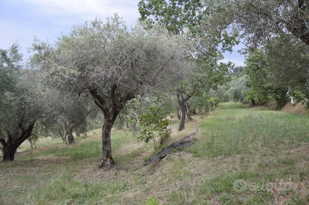 Rustico / Casale di 50 m² con 2 locali a Minturno - Vista 5