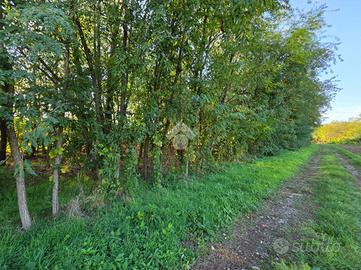 TER. AGRICOLO A CASTANO PRIMO