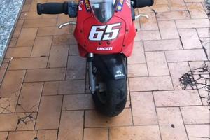 Mini moto polini 910 carena