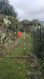 TERRENO AGRICOLO QUALITÀ ULIVETO 