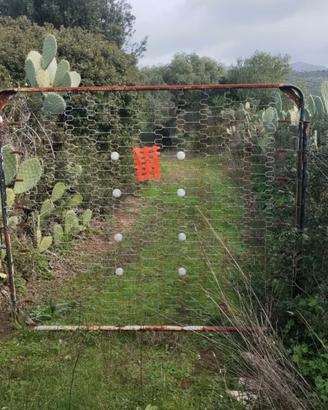 TERRENO AGRICOLO QUALITÀ ULIVETO 