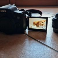 Canon EOS 750d + canon 18-50mm f3.5 + canon 50mm F