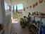Immagine 7