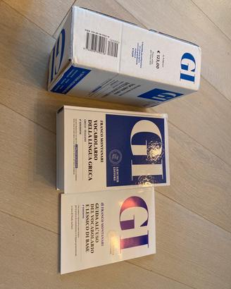 GI Vocabolario di greco dizionario