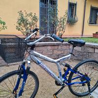 bicicletta