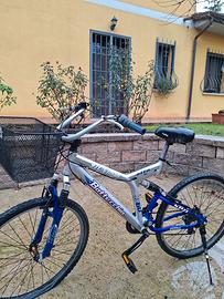 bicicletta