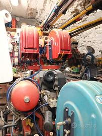 Compressore Per Raccolta olive