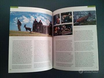 Garantire un futuro alla fauna selvatica, zoo