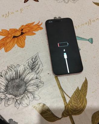 iPhone 15 rosa usato
