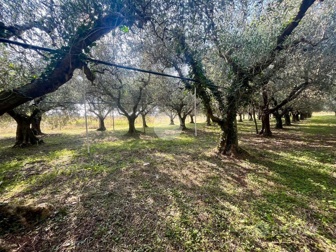 TER. AGRICOLO A RIVOLI VERONESE - Vista 5