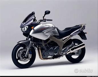 YAMAHA TDM 900 RICAMBI