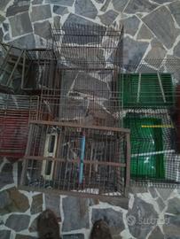 gabbie per uccelli varie misure 