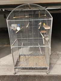 Voliera per canarini