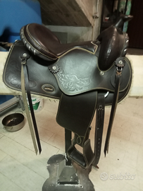 Sella americana bambini