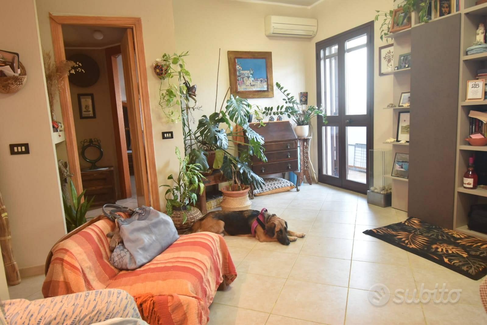 Appartamento – Monserrato, Casteddu/Cagliari - Vista 3