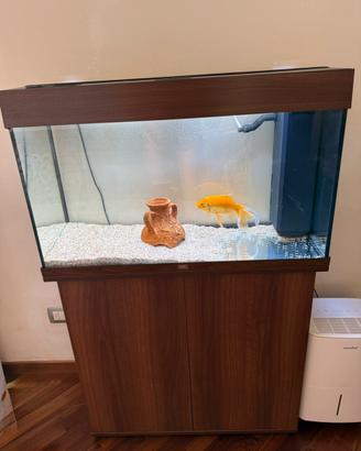 Acquario Juwel Rio 125 LED cm81x36x50h con mobile