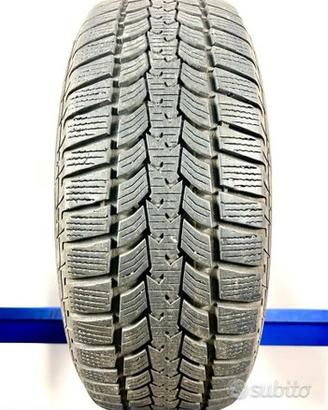 Sava 225/60 R17 103V M+S invernali