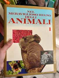 enciclopedia animali
