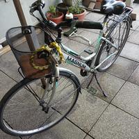 Bici citybike donna