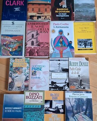 Lotto 16 libri di narrativa
