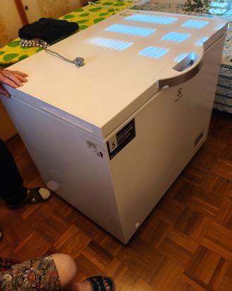 congelatore 254 litri del 2023